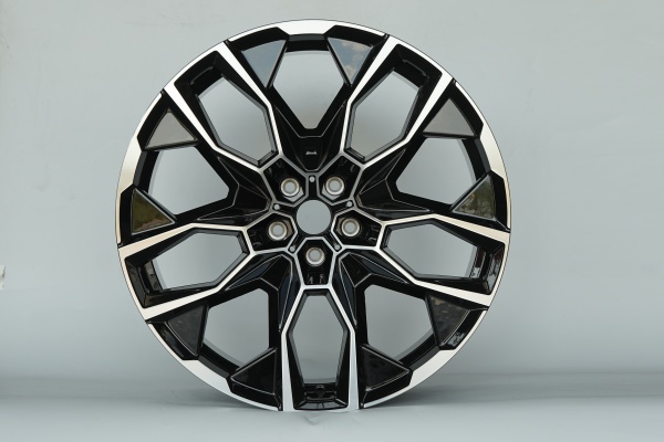 SHGW3151-22X9.5