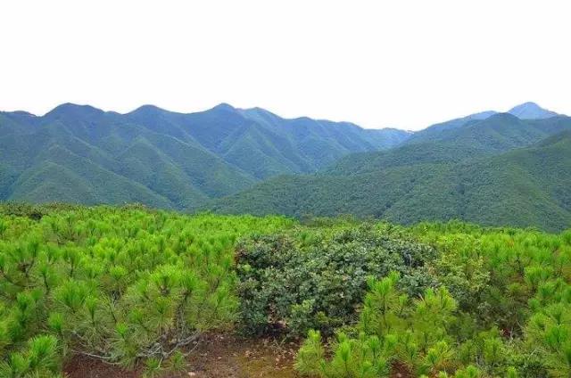 昆明十峰之黑风山一日登顶穿越