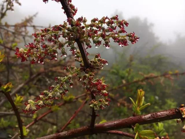 昆明十峰之老圭山一日攀登