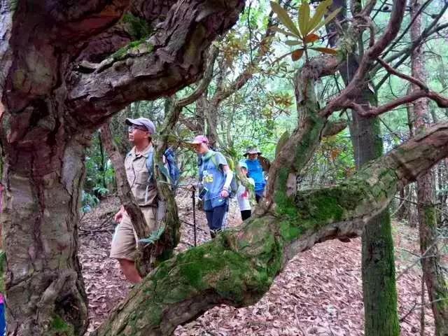 徒步 | 昆明十峰之嵩明大尖山登顶穿越