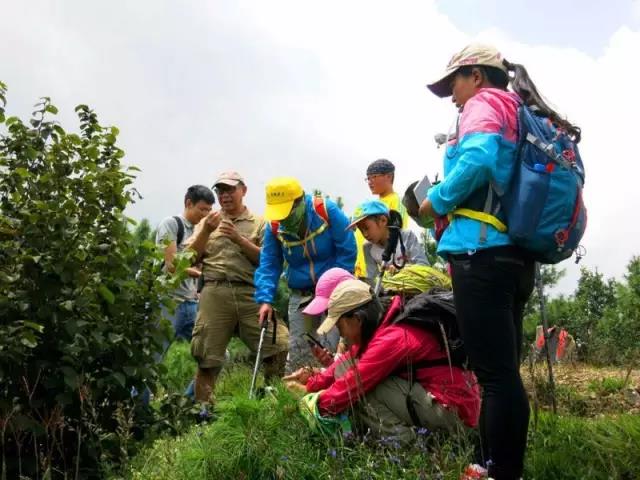 徒步 | 昆明十峰之嵩明大尖山登顶穿越