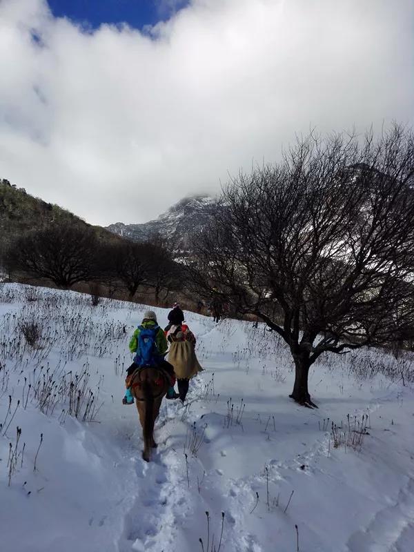 徒步 | 12月14-15日轿子雪山翻越