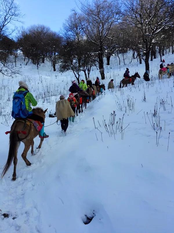 徒步 | 12月14-15日轿子雪山翻越