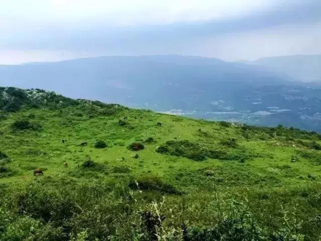 登山 | 昆明十峰之老爷山一日攀登