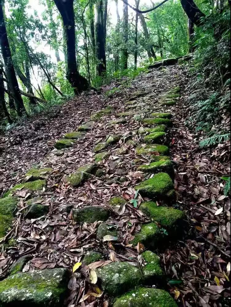 2020春节徒步 | 翻越高黎贡山