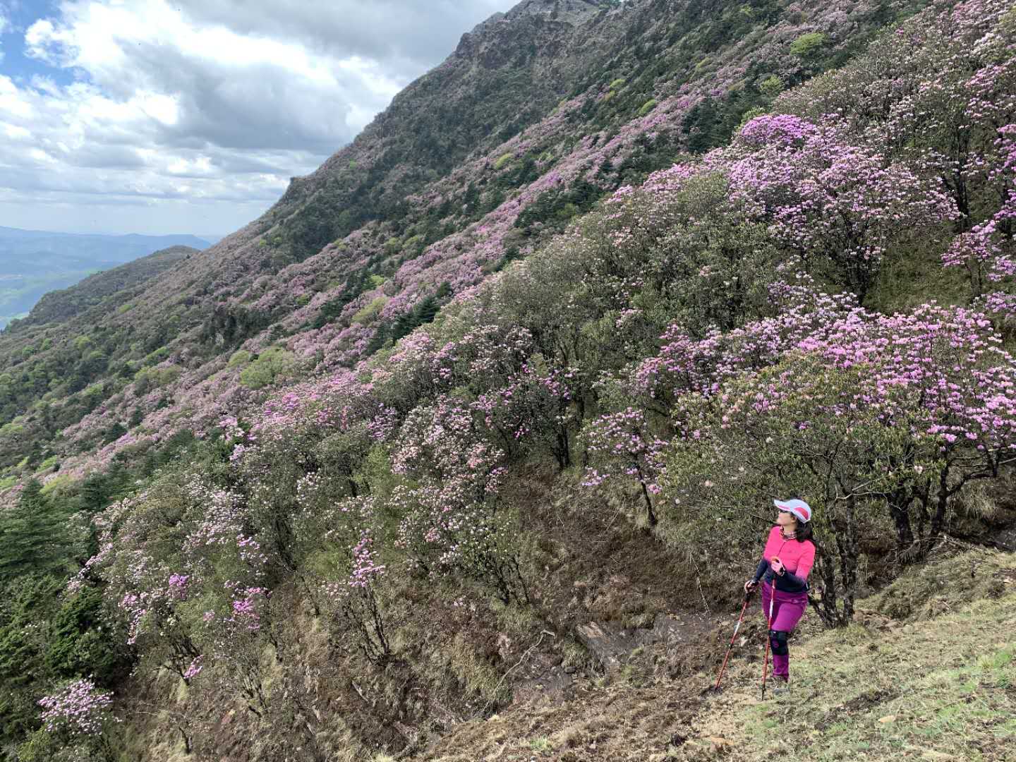 徒步露营 | 5月23-24日轻装徒步露营轿子雪山东坡