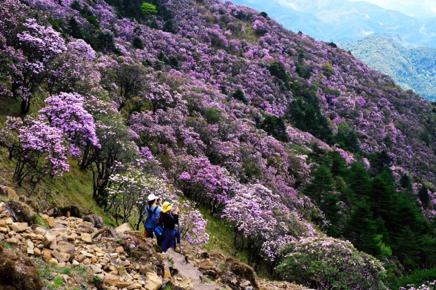 徒步露营 | 5月23-24日轻装徒步露营轿子雪山东坡