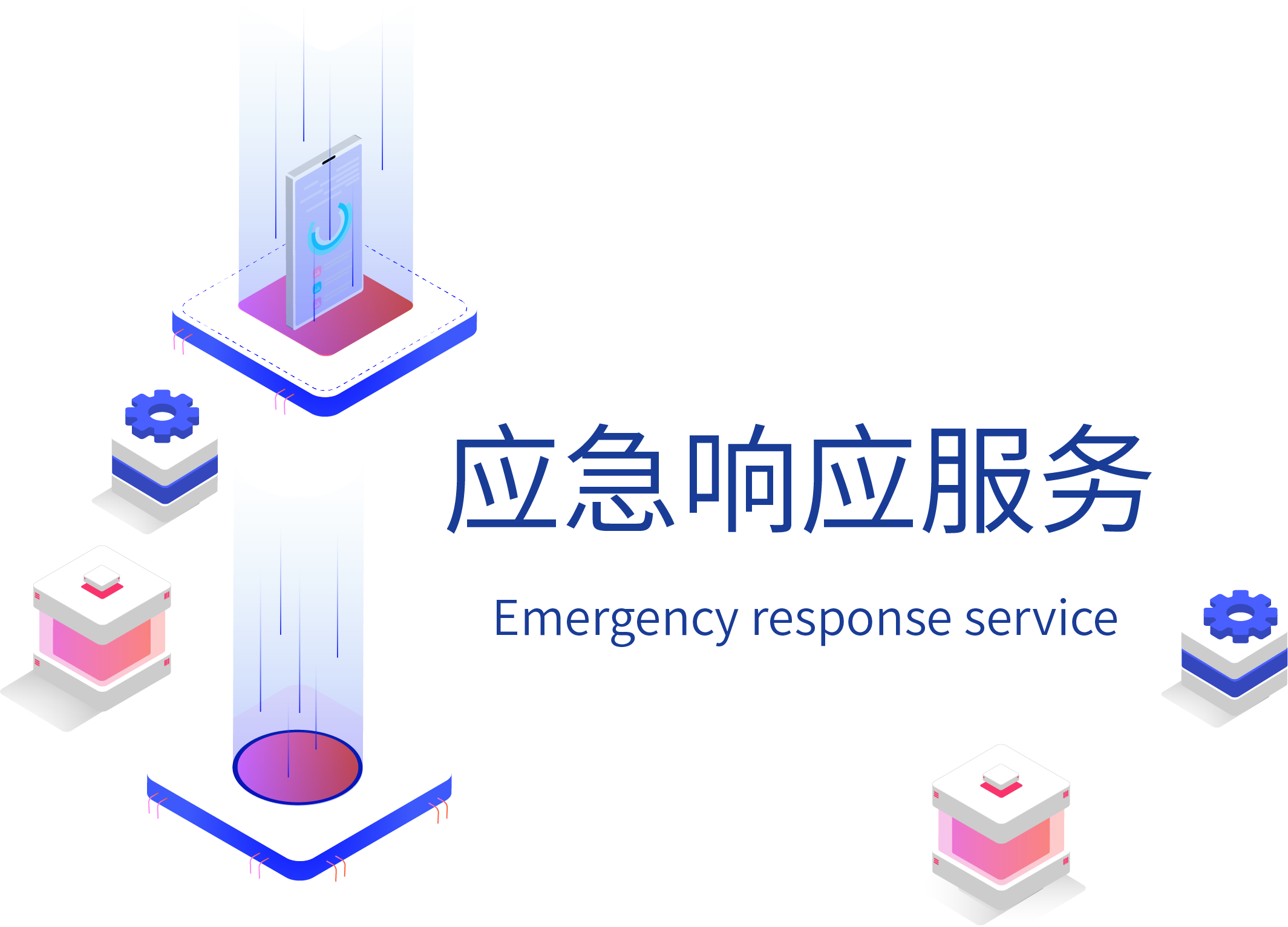 图片展示