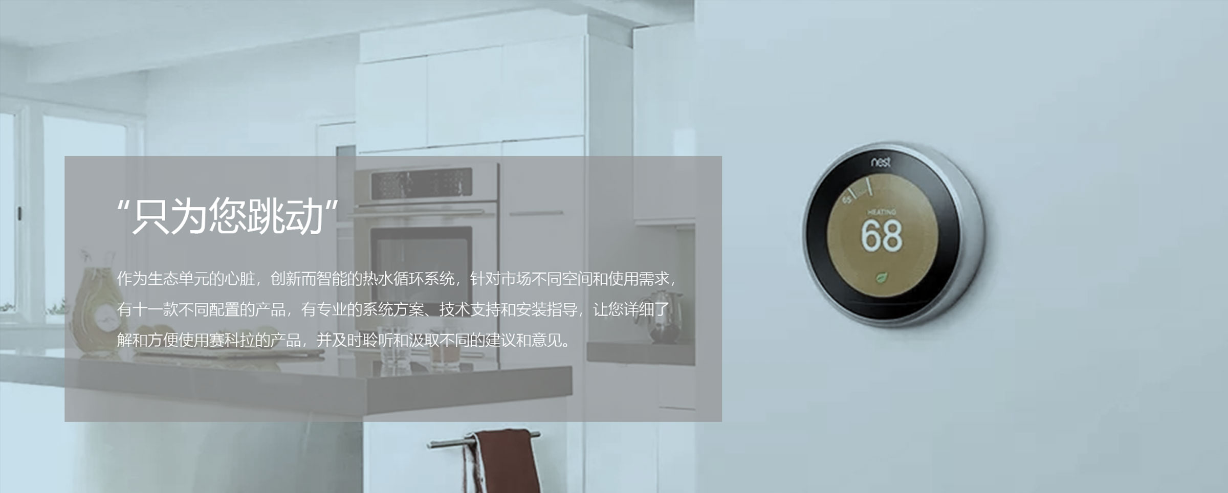 图片展示