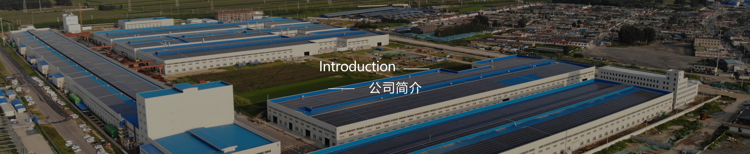 图片展示