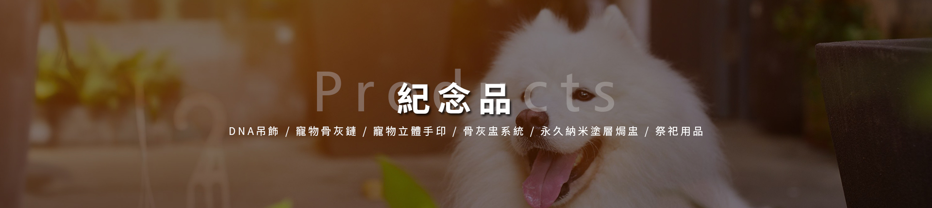圖片展示