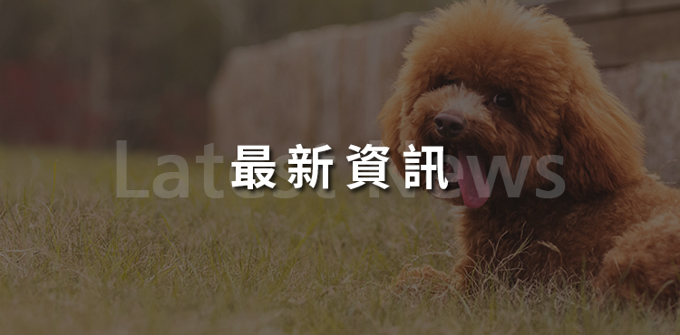 圖片展示