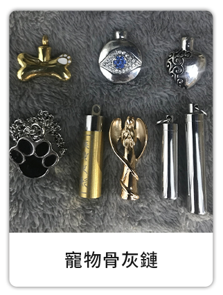 圖片展示