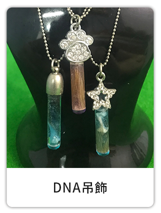 圖片展示