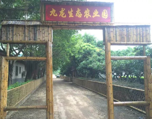 “走进自然,亲近彼此,爱生活,爱公司”---深圳市三通连接系统有限公司春游活动记 