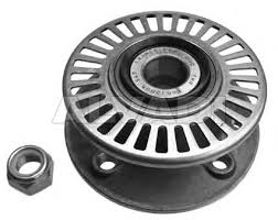Wheel Bearing and Wheel Bearing Kit For RENAULT 7700803923 77 01 204 692 VKBA3439