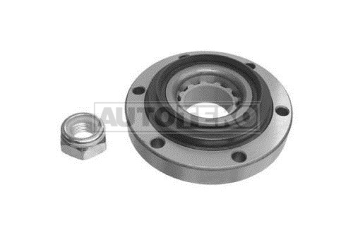 Front Wheel Bearings Kit for RENAULT 7701463231 7701462020