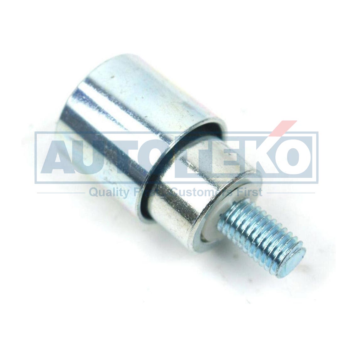 481H-1007071 T42143 Belt Tensioner Pulley For CHERY