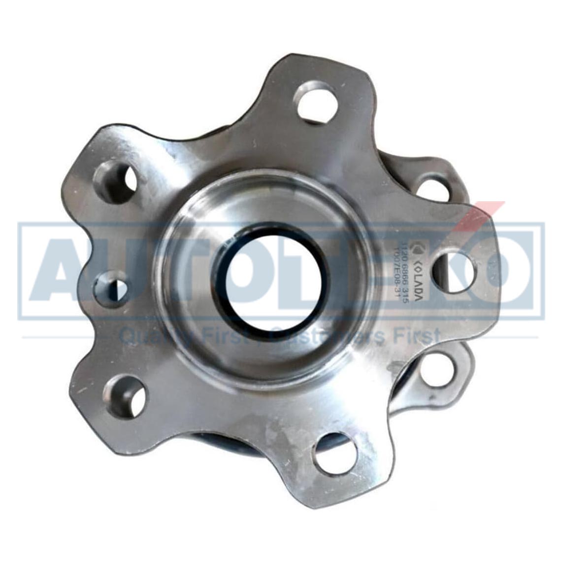 31202408656 31206866316 31206871193 Front Wheel Hub Bearing For BMW 33406899174