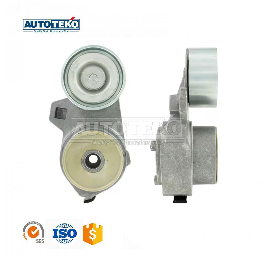 Belt Tensioner Pulley VKMCV53012