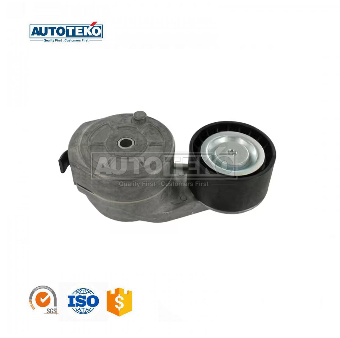 Belt Tensioner Pulley VKMCV56011