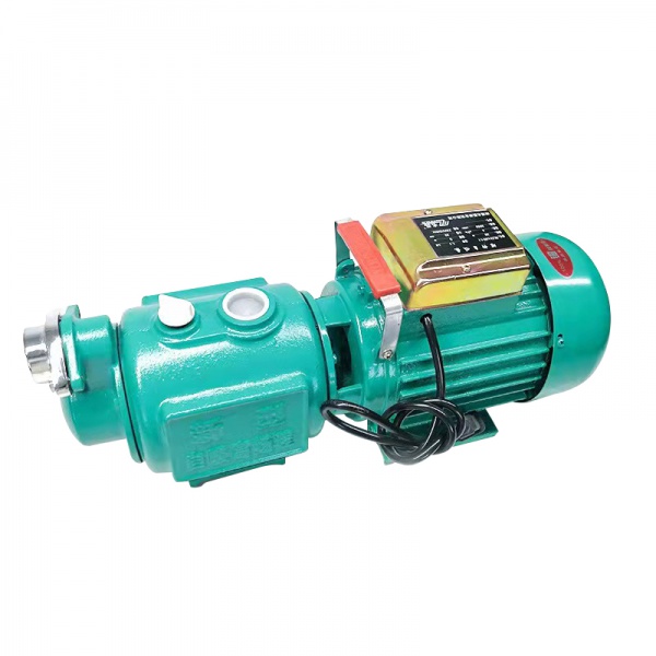 Screw self-priming pump