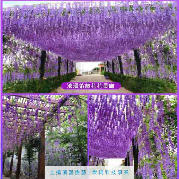 高仿紫藤花串紫羅蘭