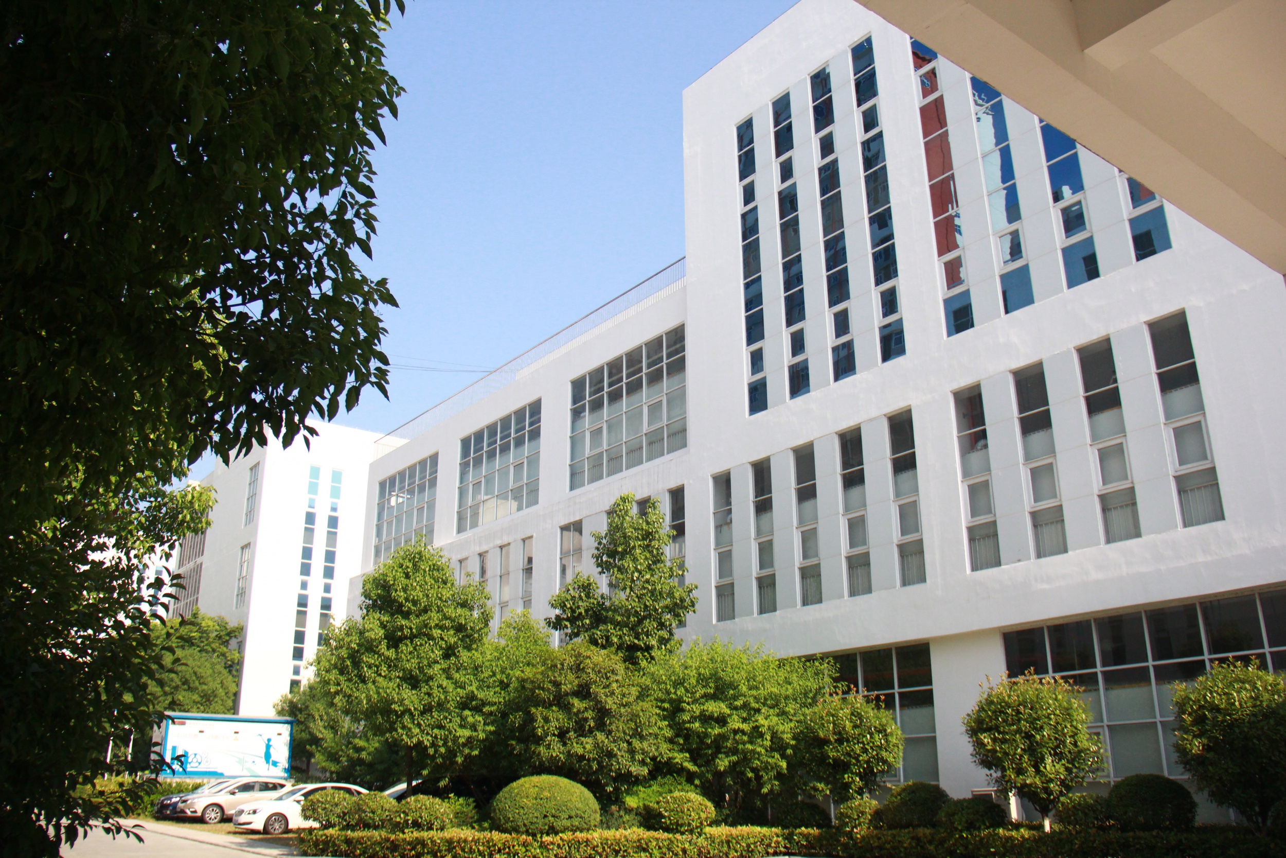 图片展示