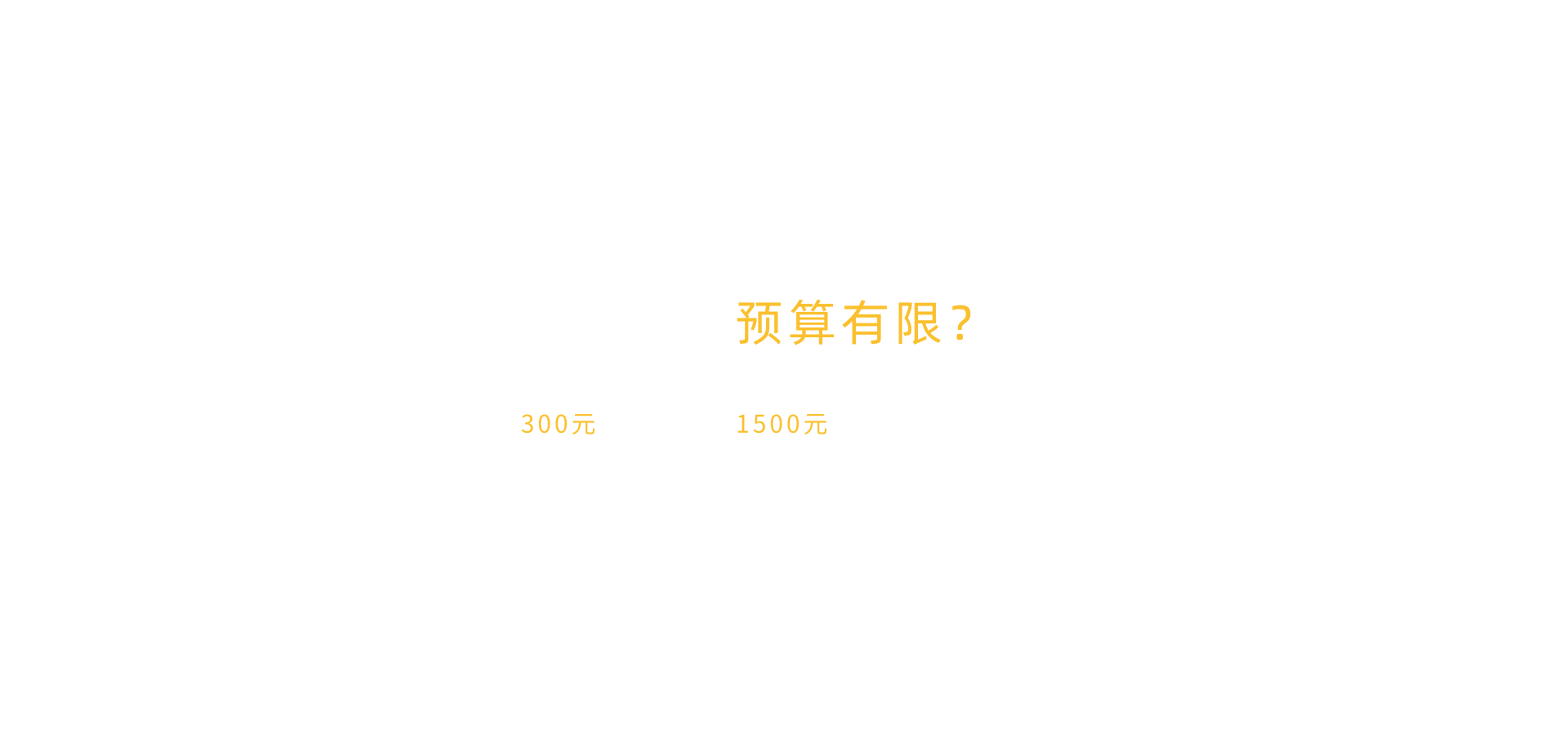 半定制化网站建设服务