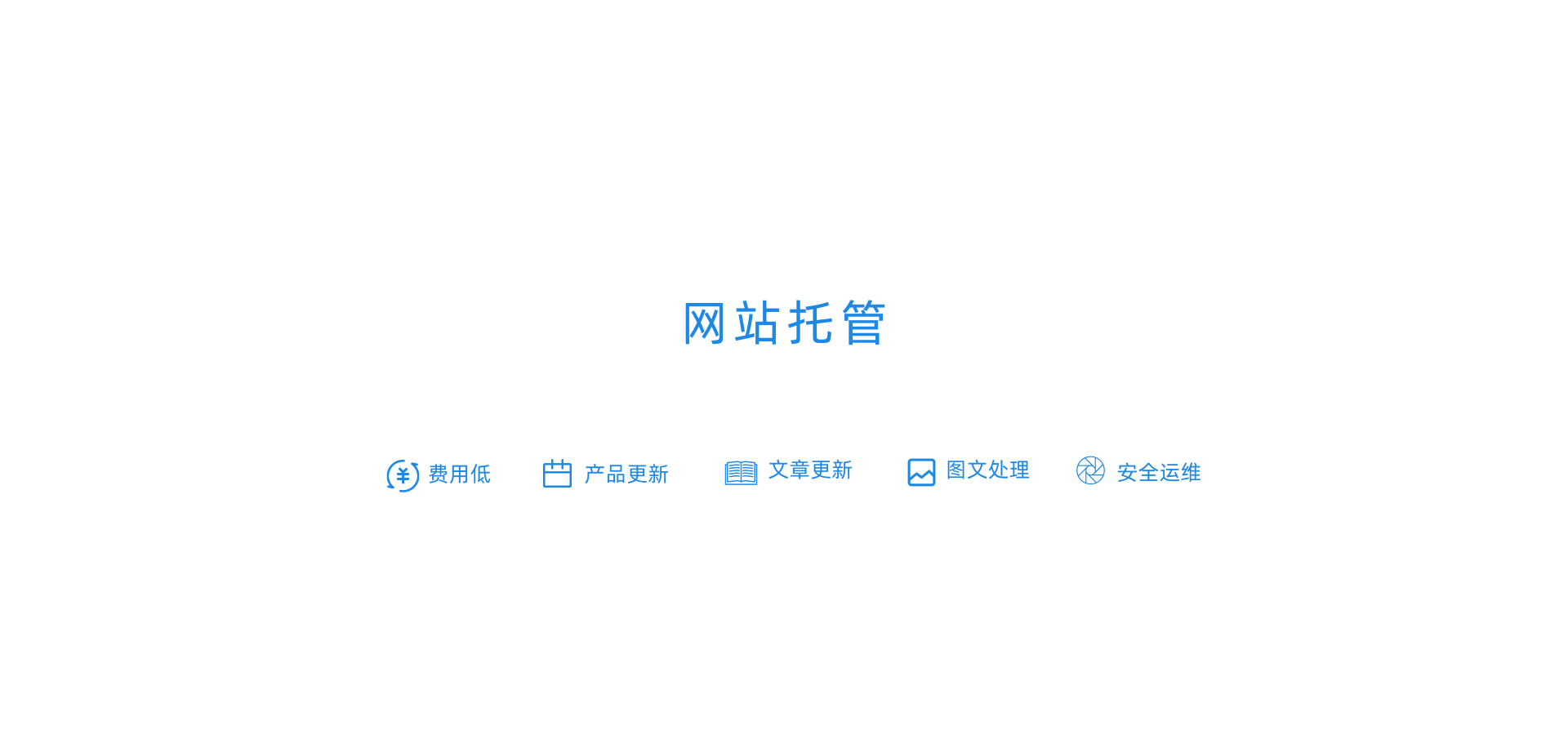 专业网站托管运营