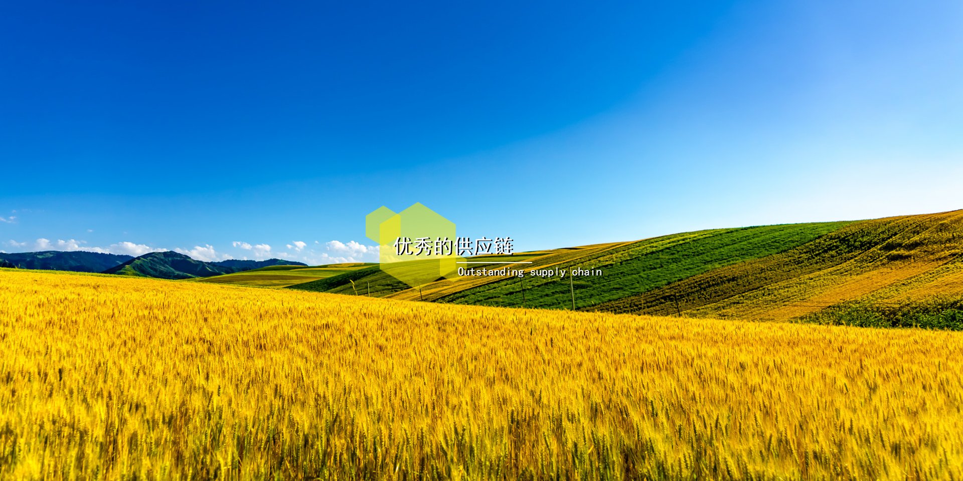 志信农业