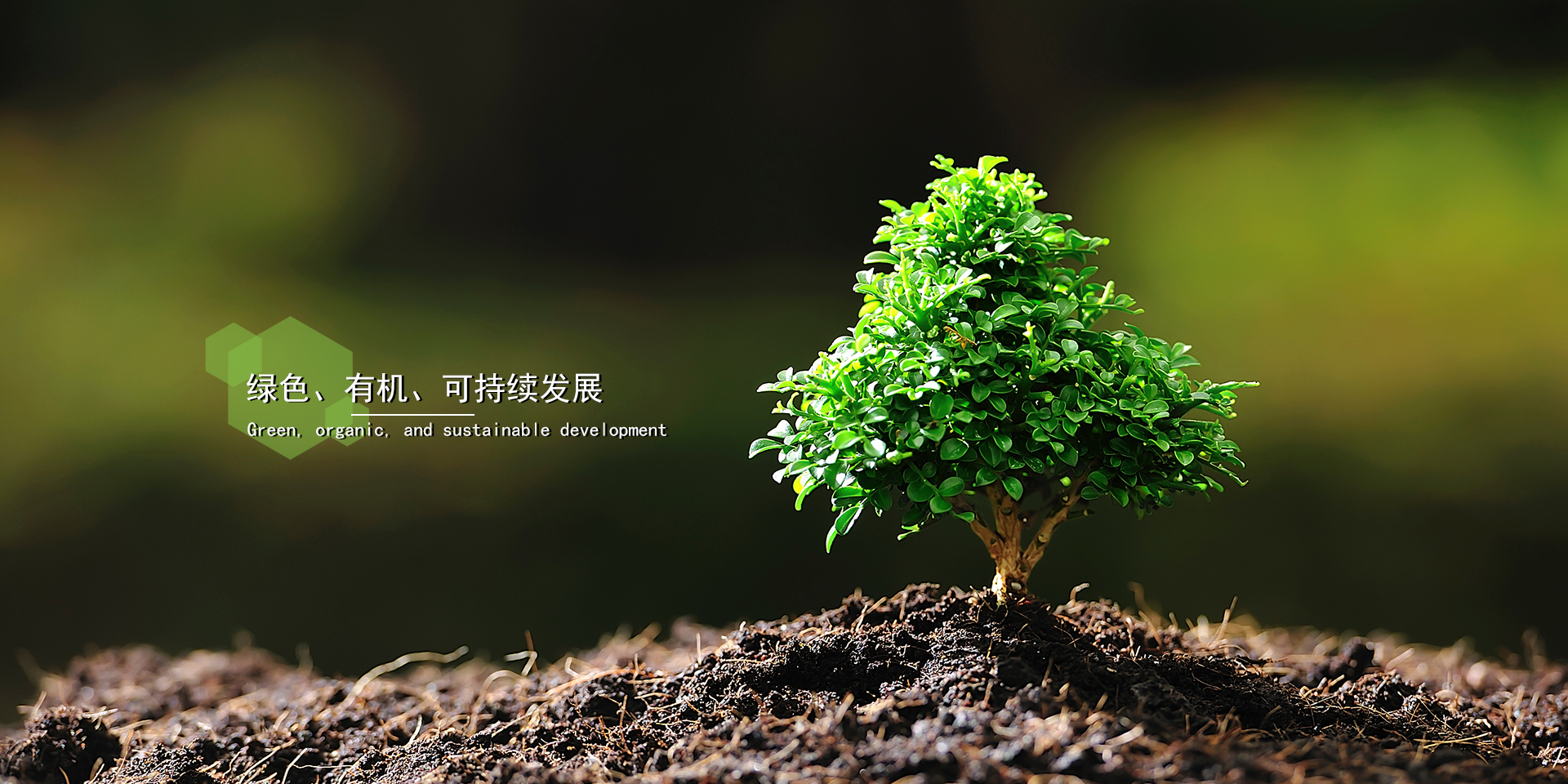 志信农业