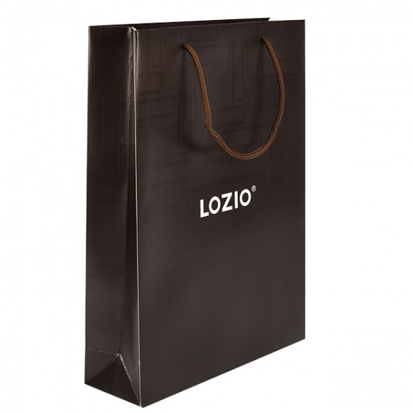 Custom Paper Bag Clothing Shopping Paper Bag Garment Paper Bag With Ribbon Rope Recyclable Luxury Gift Shopping Bags