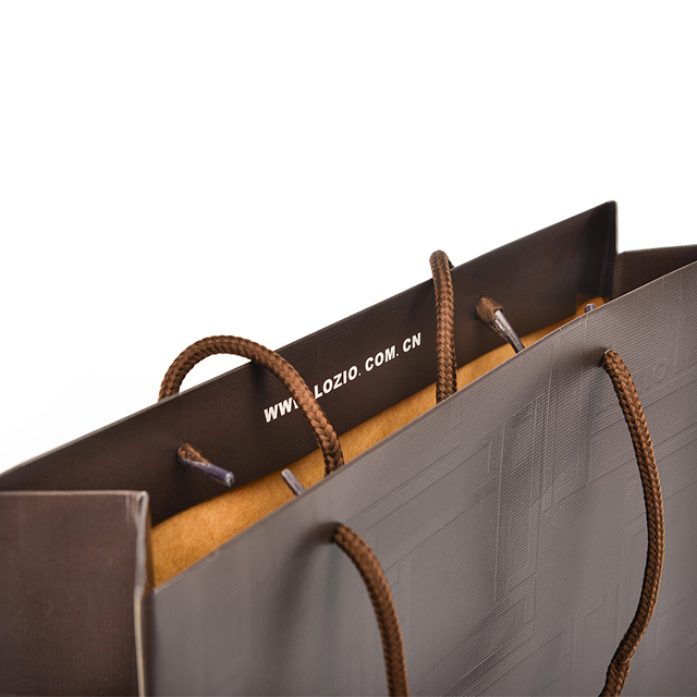 Custom Paper Bag Clothing Shopping Paper Bag Garment Paper Bag With Ribbon Rope Recyclable Luxury Gift Shopping Bags
