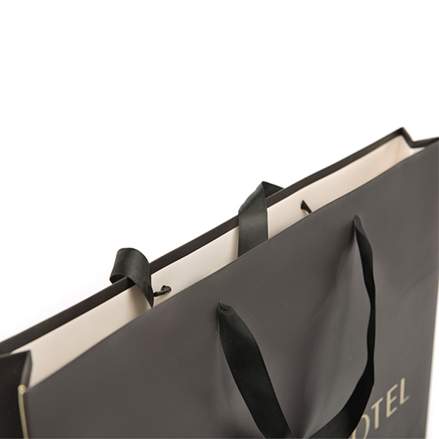 Custom Paper Bag Clothing Shopping Paper Bag Garment Paper Bag With Ribbon Rope Recyclable Luxury Gift Shopping Bags