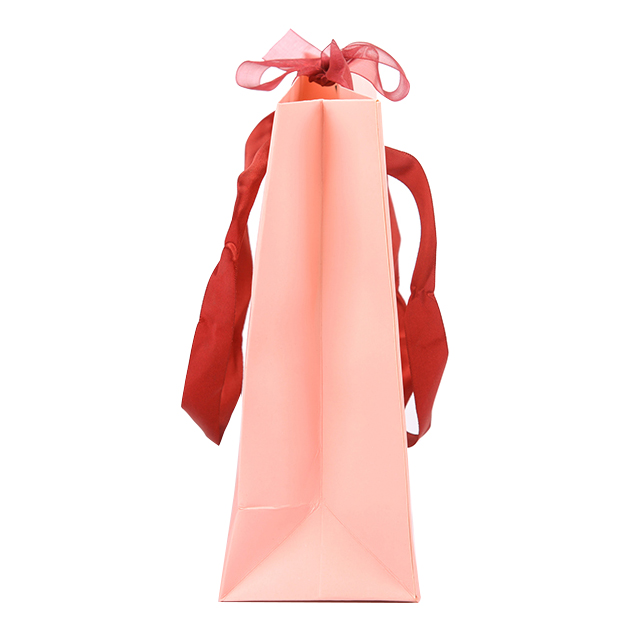 Custom Promotions Clothing Paper Bag With Ribbon Eco-Friendly Paper Bag with Handle Clothing Shoes Gift Shopping Bag Printing