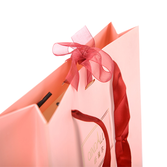 Custom Promotions Clothing Paper Bag With Ribbon Eco-Friendly Paper Bag with Handle Clothing Shoes Gift Shopping Bag Printing