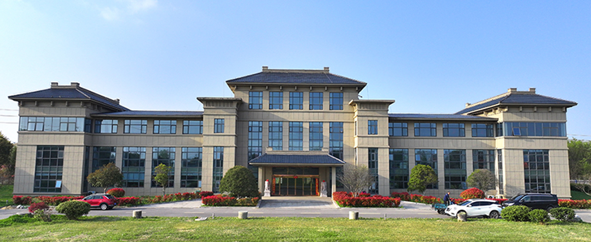 图片展示