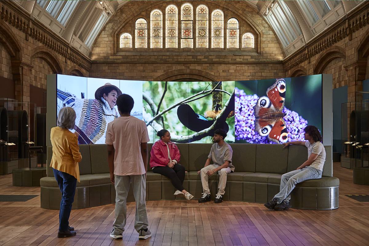 3D Printed Ceramic Installation The Trustees of the Natural History Museum London 2024 sitting modul 3D打印的陶瓷安装