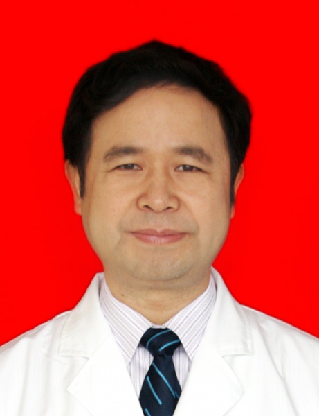 贺定辉