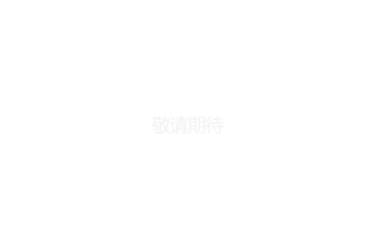 敬请期待