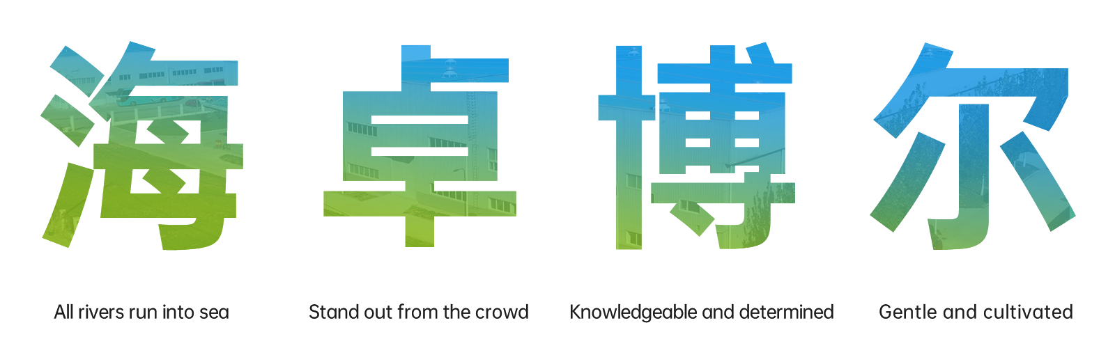 图片展示