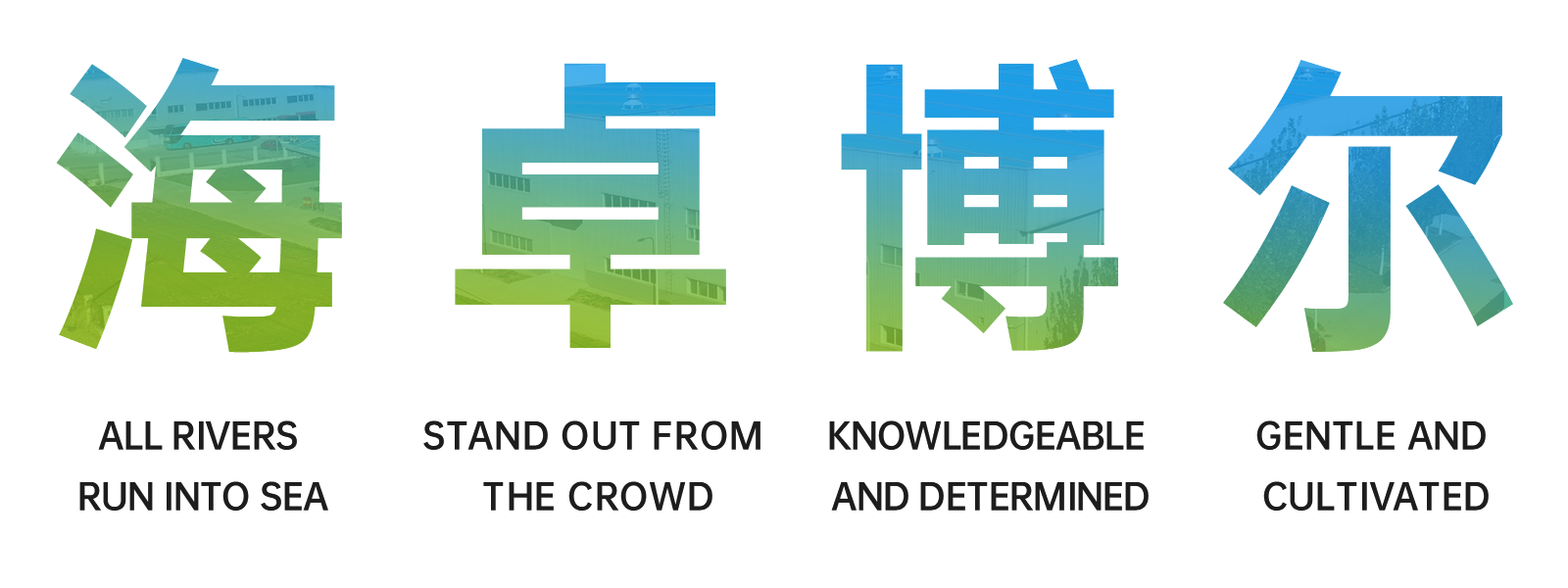 图片展示