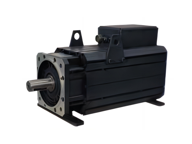 Servo motor 