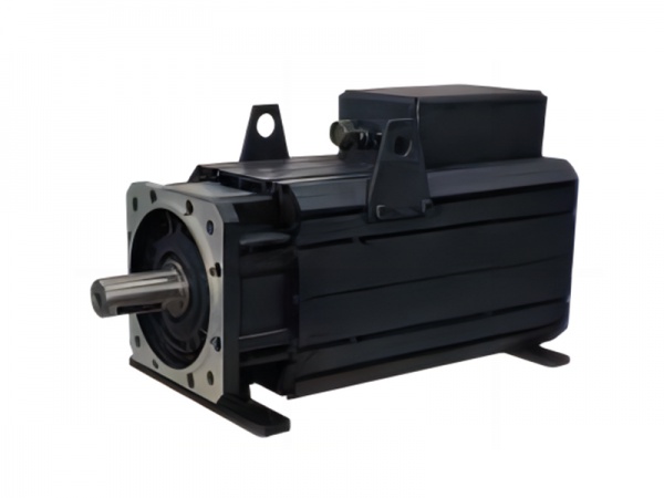 Servo motor 