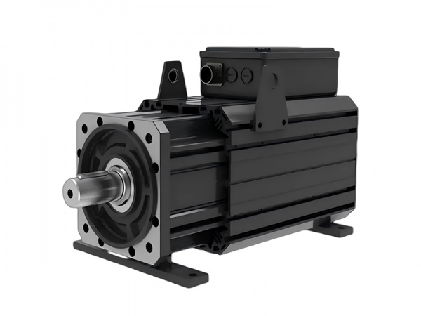 Servo motor 