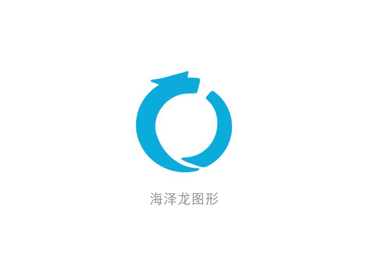 海泽龙新标-简约大气