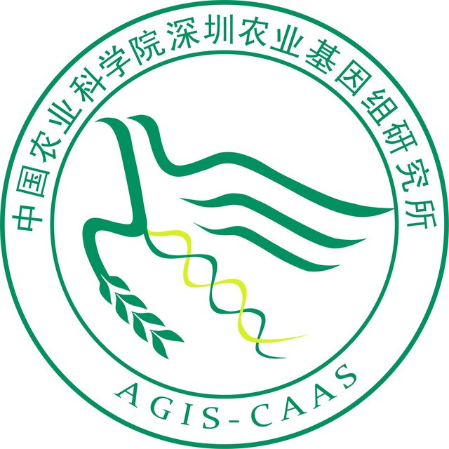 图片展示