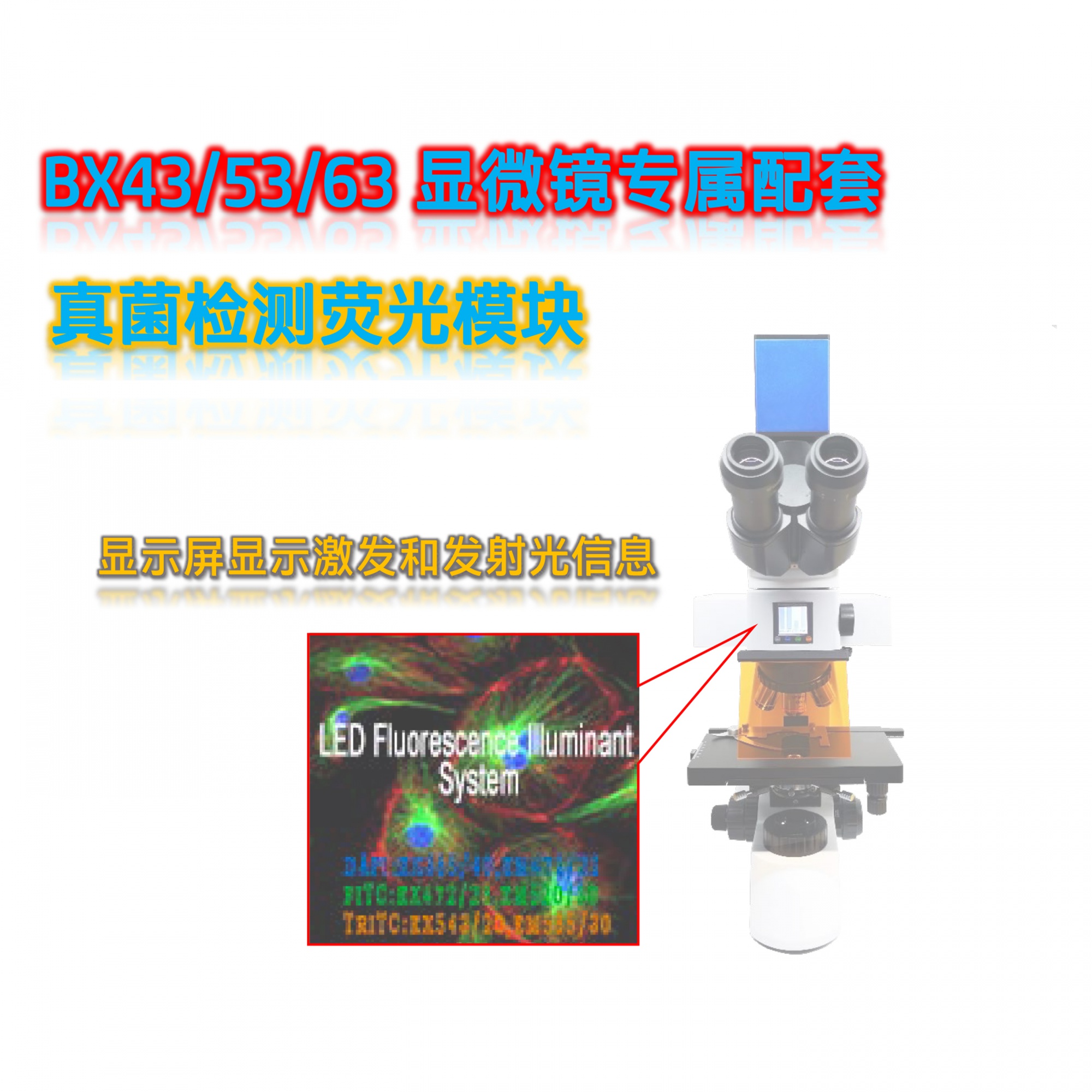 BX43|53|51|41显微镜LED荧光配件BX-UV-E