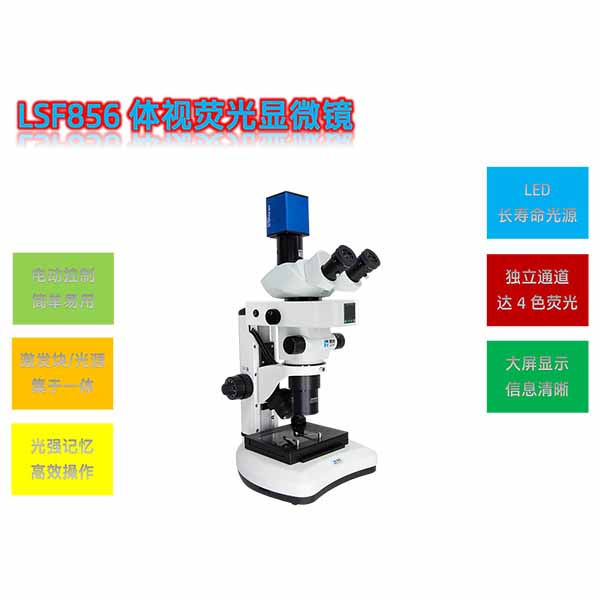 体视荧光显微镜LSF856